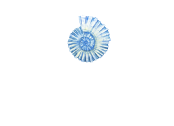 Footer Logo Elesii